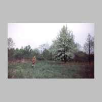 029-1004 Klein Michelau - Ein bluehender Birnenbaum im Garten von Otto Braun erinnert an bessere Zeiten .jpg